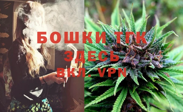 дмт Абаза