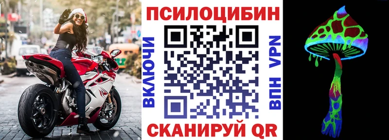 Галлюциногенные грибы Psilocybe  купить наркотики цена  Тюмень 